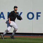 giancarlo-stanton-is-giving-the-yankees-everything-they-ask-for