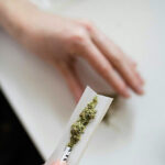 trump-admin-considers-reclassifying-cannabis-as-a-less-dangerous-drug