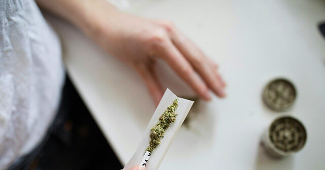 trump-admin-considers-reclassifying-cannabis-as-a-less-dangerous-drug