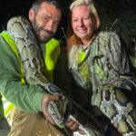 florida-man-catches-87-invasive-pythons-in-a-month,-awarded-$1k-through-state-incentive-system