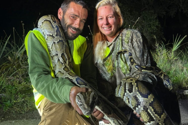 florida-man-catches-87-invasive-pythons-in-a-month,-awarded-$1k-through-state-incentive-system