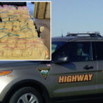 illegal-migrant-caught-with-$12m-of-crystal-meth-in-south-dakota:-officials