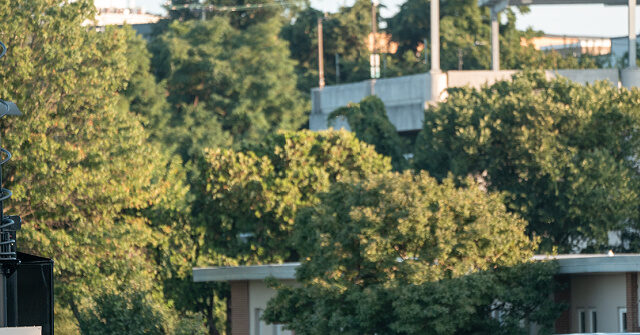 democrats-criticize-mobilization-of-national-guard-to-address-dc.-crime
