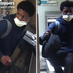 masked-teen-slashed-29-year-old-woman-to-near-death-with-large-kitchen-knife-on-nyc-train-after-she-refused-to-give-up-bag:-prosecutors