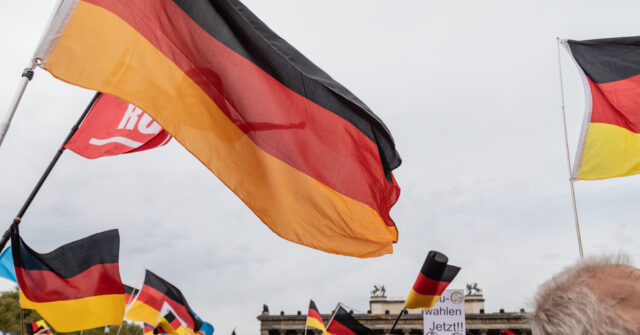 germany’s-afd-party-hits-record-support-as-establishment-coalition-continues-to-slide