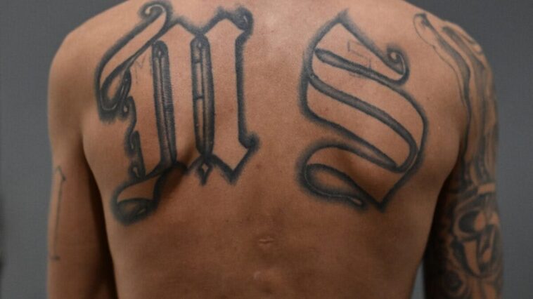 ms-13-member-serving-time-for-murder-sues-trump-to-be-‘recognized’-as-a-woman
