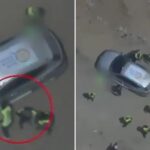armed-terrorists-killed-while-posing-as-world-central-kitchen-staff-in-gaza:-idf
