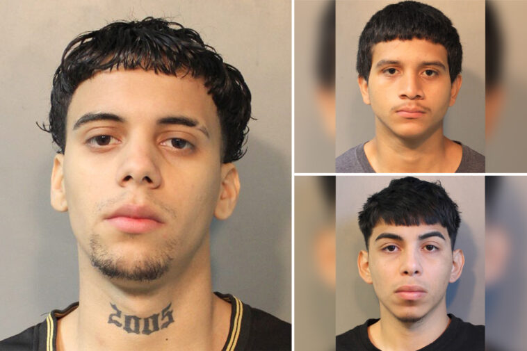 trio-of-ms-13-migrants-who-terrorized-nassau-county-busted-in-joint-ice-operation-—-face-14-counts-of-attempted-murder