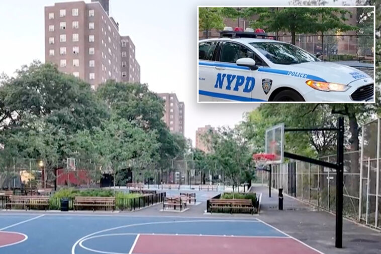 2-teen-boys-shot,-wounded-when-gunman-wearing-all-black-opens-fire-on-grounds-of-nyc-housing-complex:-cops
