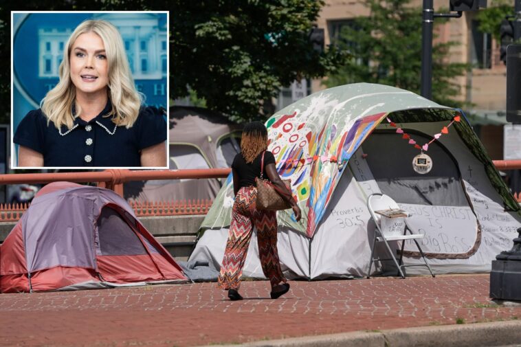 dc-homeless-will-be-given-option-of-shelter-or-jail-as-part-of-trump’s-crime-crackdown