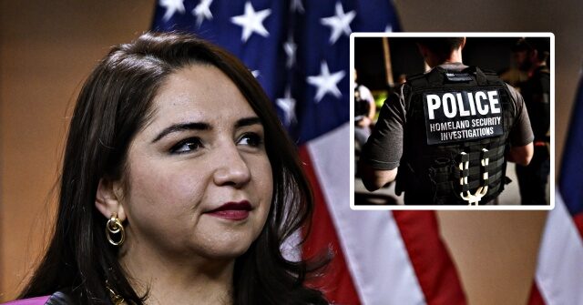 watch:-democrat-rep.-delia-ramirez-calls-ice-a-‘terrorist-organization’