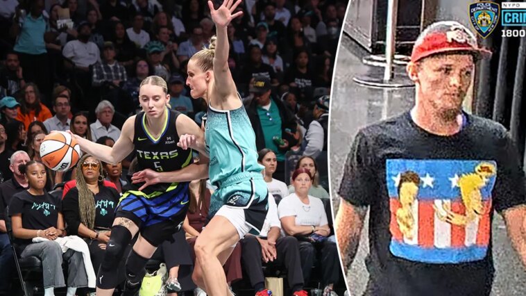 new-york-police-search-for-suspect-accused-of-hitting-12-year-old-girl-with-adult-toy-at-wnba-game