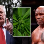 mike-tyson-says-whether-he-fights-again-depends-on-federal-marijuana-legalization-and-rescheduling