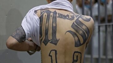 ms-13-gang-member-serving-time-for-murder-suing-trump-to-be-‘recognized’-as-female