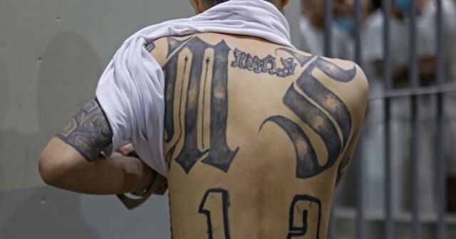 ms-13-gang-member-serving-time-for-murder-suing-trump-to-be-‘recognized’-as-female