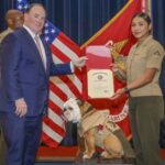 heartwarming-honor:-marine-corps-mascot-cpl.-chesty-xvi-awarded-good-conduct-medal-by-secretary-phelan,-who-also-just-ended-cruel-dog-and-cat-testing-in-navy-labs