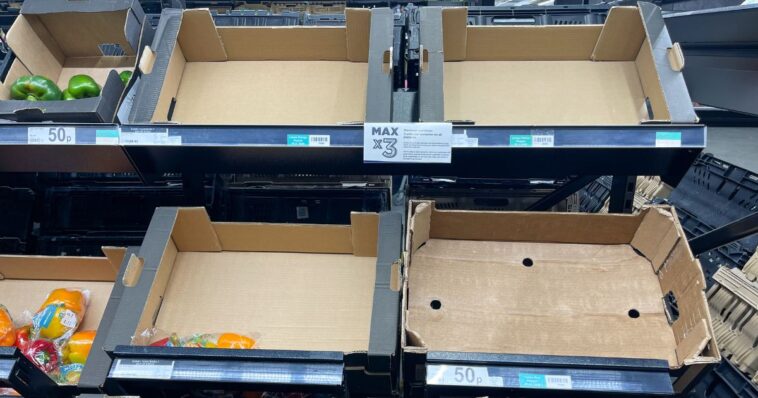 shoppers-get-preview-of-mamdani’s-socialized-grocery-stores-and-it’s-horrible-–-rancid-smells,-empty-shelves
