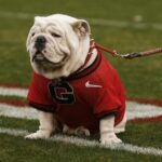 betmgm-bonus-code-postbet-for-$1,500-in-bonus-bets-for-the-2025-college-football-season