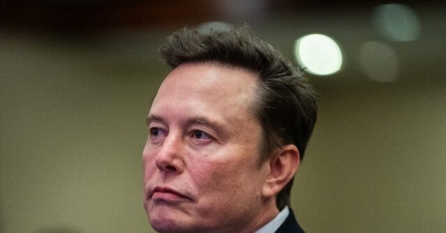 xai-co-founder-igor-babuschkin-departs-elon-musk’s-empire