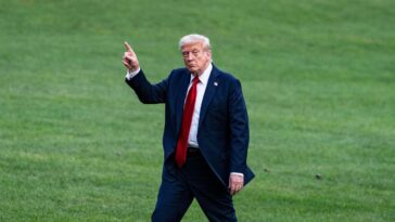 trump-heads-to-alaska-to-negotiate-historic-truce-between-humans,-bears