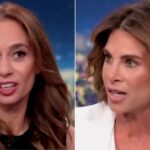 watch:-fitness-legend-jillian-michaels-breaks-cnn-panel-on-slavery,-american-history,-and-‘white-people-bad’