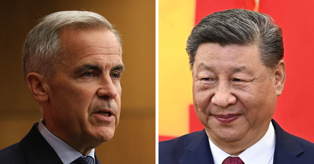 canada,-mired-in-trump-trade-talks,-hit-with-75%-chinese-canola-tariff