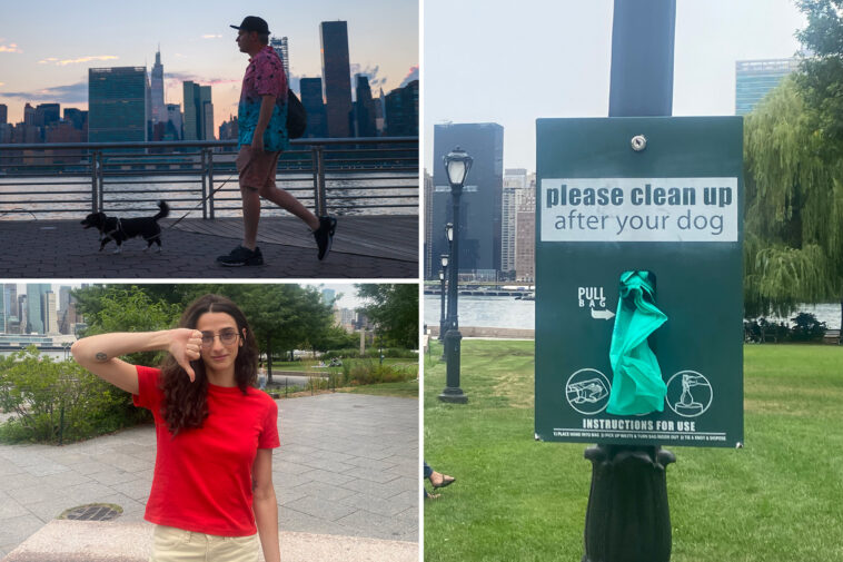 fed-up-neighbors-launch-shame-campaign-for-pet-owners-turning-long-island-city-into-‘dog-s–t-capital-of-new-york’