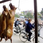 london-vietnamese-restaurant-shut-down-after-inspectors-find-frozen-dog-meat