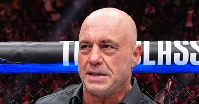 joe-rogan-trashes-ice-illegal-alien-raids,-again:-‘great,-you’re-going-to-get-rid-of-the-landscaper’