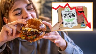 beyond-meat-in-financial-trouble-after-public-learns-real-meat-exists