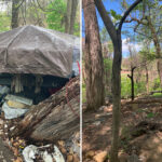 75-homeless-camps-in-dc-cleared-by-us-park-police-since-trump’s-‘safe-and-beautiful’-executive-order