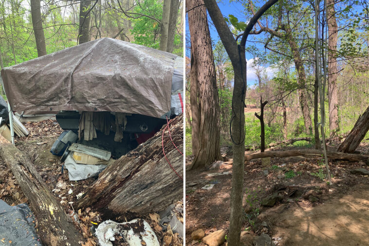 75-homeless-camps-in-dc-cleared-by-us-park-police-since-trump’s-‘safe-and-beautiful’-executive-order