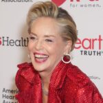 hollywood-lib-sharon-stone:-‘wholesome,-middle-american-values’-saved-me-—-they-aren’t-‘incidental’