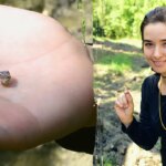 manhattan-woman-finds-2.3-carat-diamond-for-engagement-ring-after-three-week-quest