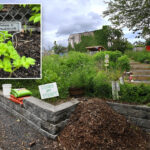 operators-of-anti-israel-community-garden-in-queens-slapped-with-vacate-order-by-nyc-parks-dept.:-‘no-place-for-hate’