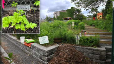 operators-of-anti-israel-community-garden-in-queens-slapped-with-vacate-order-by-nyc-parks-dept.:-‘no-place-for-hate’