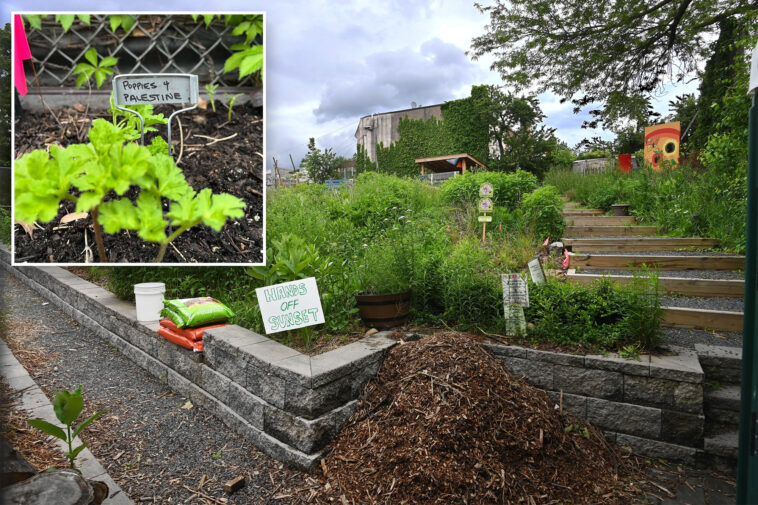 operators-of-anti-israel-community-garden-in-queens-slapped-with-vacate-order-by-nyc-parks-dept.:-‘no-place-for-hate’