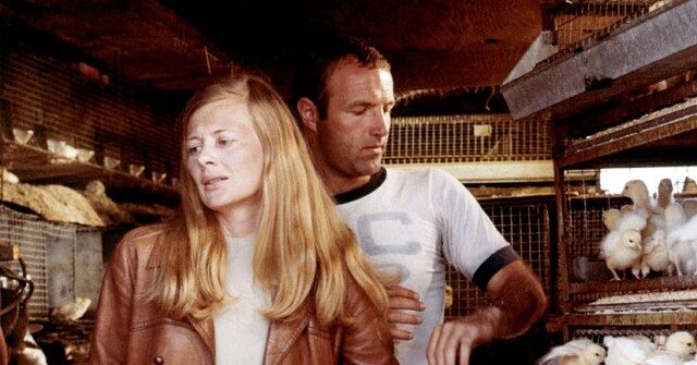 nolte:-your-film-school-assignment,-one-movie-per-day-–-week-three