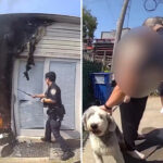 nyc-cops-battle-flames-to-save-residents,-dog-in-coney-island