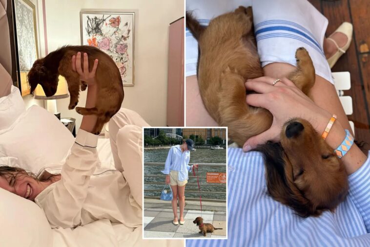 long-island-mall-scion-in-legal-dog-fight-with-ex-girlfriend-over-their-miniature-dachshund