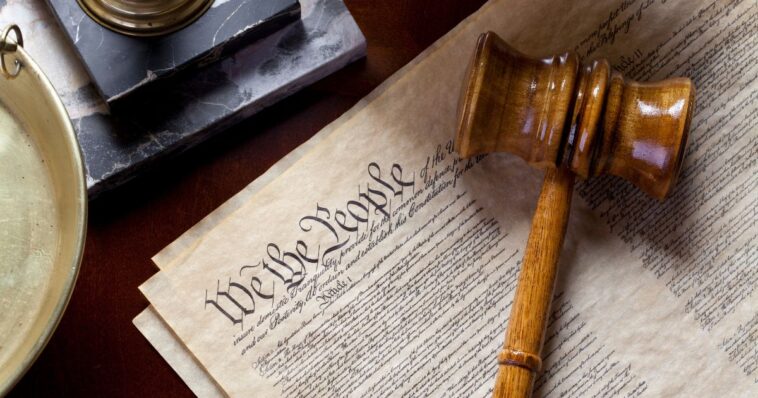 nyt-interview-reveals-dem-comeback-scheme:-a-shredded-constitution
