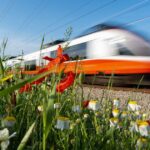 man-clings-to-high-speed-train-after-poorly-timed-smoke-break-–-now-facing-deportation
