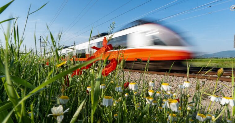 man-clings-to-high-speed-train-after-poorly-timed-smoke-break-–-now-facing-deportation