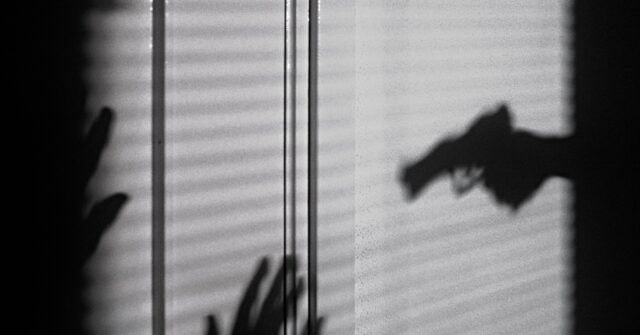 mother-with-child-fatally-shoots-alleged-intruder-in-head