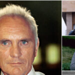 terence-stamp,-‘superman’-and-‘far-from-the-madding-crowd’-star,-dies-at-87