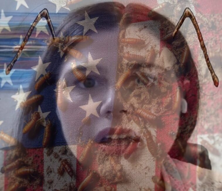 justice-didn’t-put-tina-peters-in-prison,-villains-in-the-deep-state-did