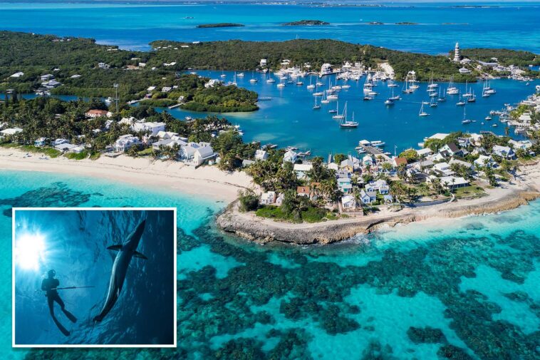 us-tourist,-63,-attacked-by-shark,-severely-injured-while-spearfishing-in-the-bahamas