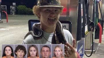 10th-south-carolina-teen-expected-to-surrender-to-cops-in-murder-of-16-year-old-lured-to-his-end-and-filmed-dying:-reports
