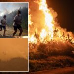 spain-deploys-military-to-battle-20-major-wildfires-across-country-as-heat-wave-ravages-southern-europe