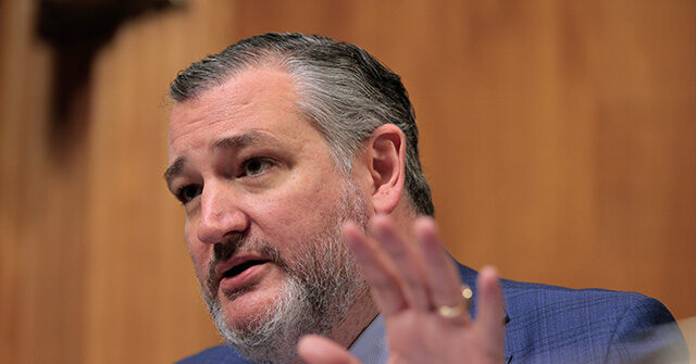 ted-cruz-urges-trump-to-recognize-somaliland,-citing-emerging-israeli-ties-and-its-role-as-a-key-us.-ally